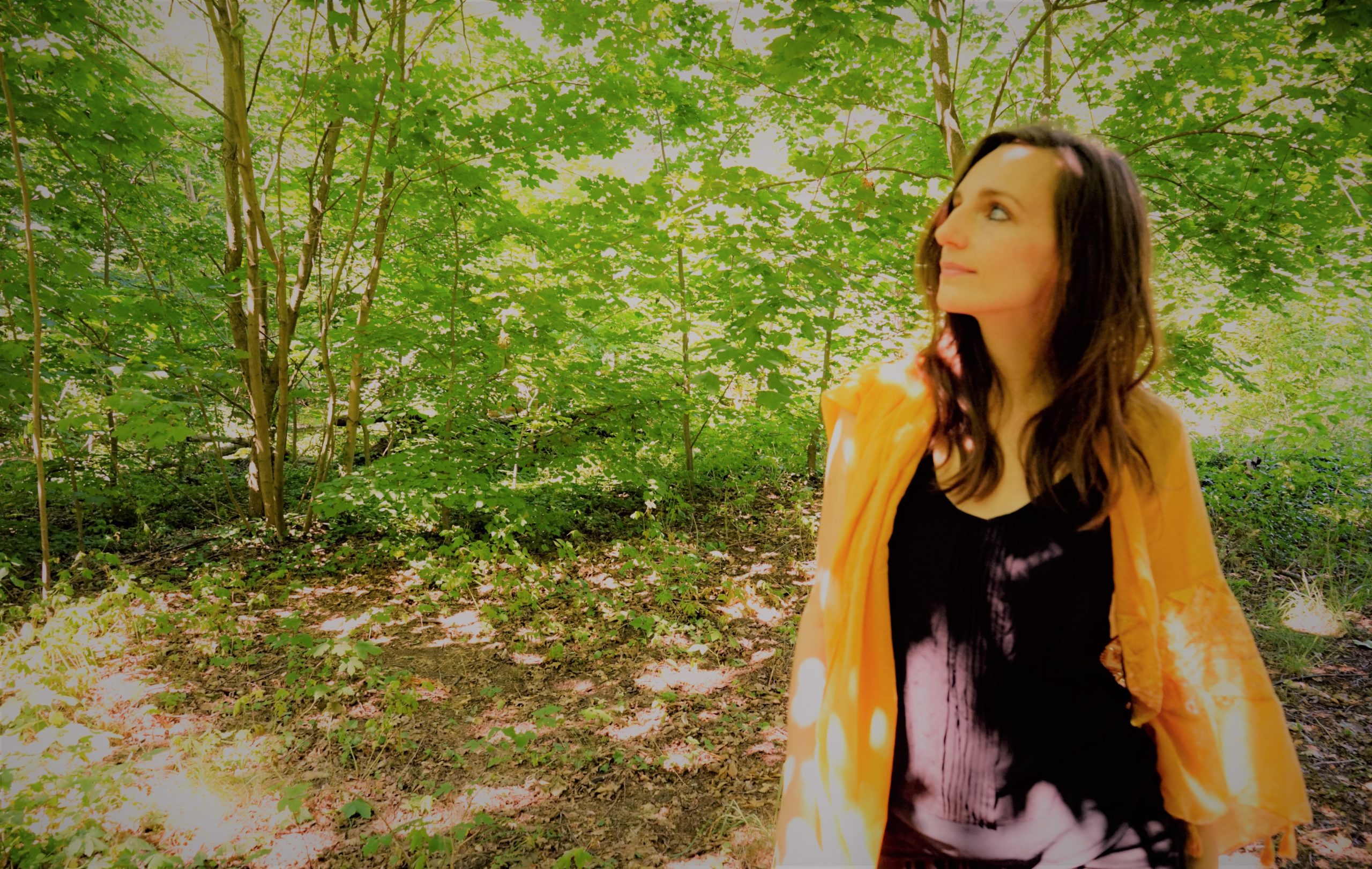 Waldshooting webseite